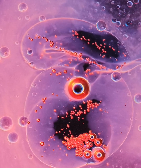 Screenshot_6