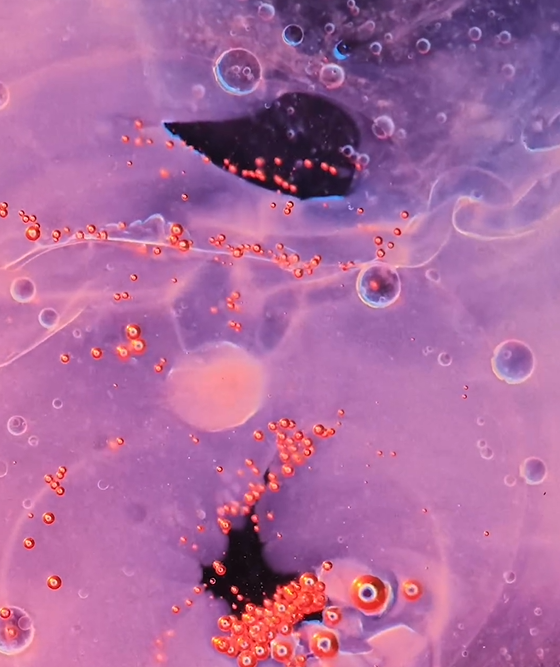 Screenshot_7