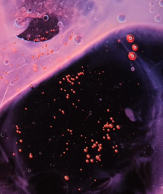 Screenshot_8